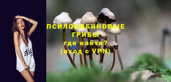 стафф Верхний Тагил
